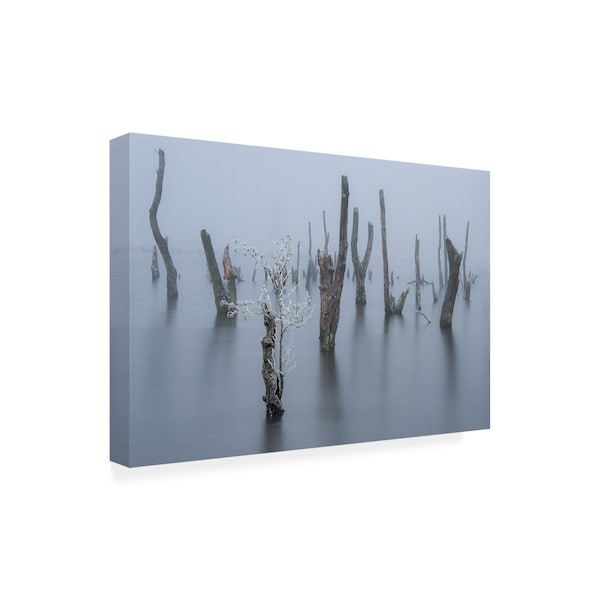 Piet Haaksma 'Frozen And Foggy World' Canvas Art,12x19